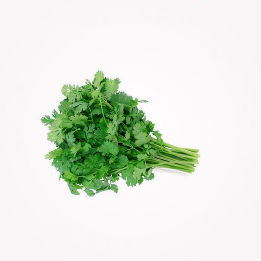 CILANTRO - 1 CT  - (Store pickup only)